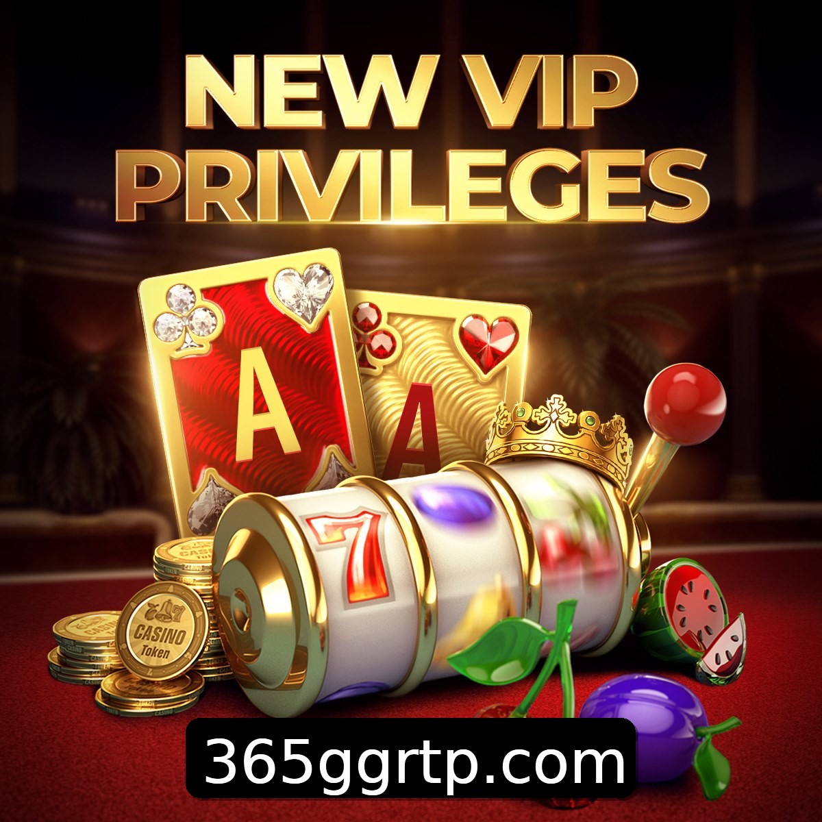 Programa VIP 365gg